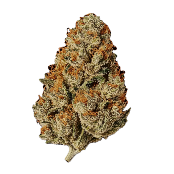 DEMECAN Craft Aloha 34/1 "98 Aloha WW x Trainwreck"