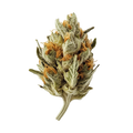 DEMECAN Craft Vert 25/1 "Blueberry Cookies"
