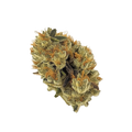 DEMECAN CV Regular Drop 25/1 "Moby Dick"