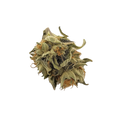 enua 25/1 JFK "Jet Fuel Kush"