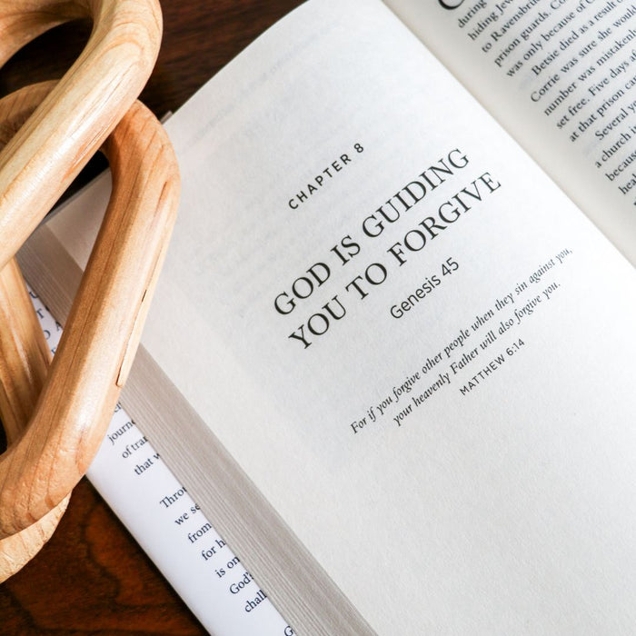 God Won't Leave You There Bible Study Guide + Book + Devotional Premium Bundle