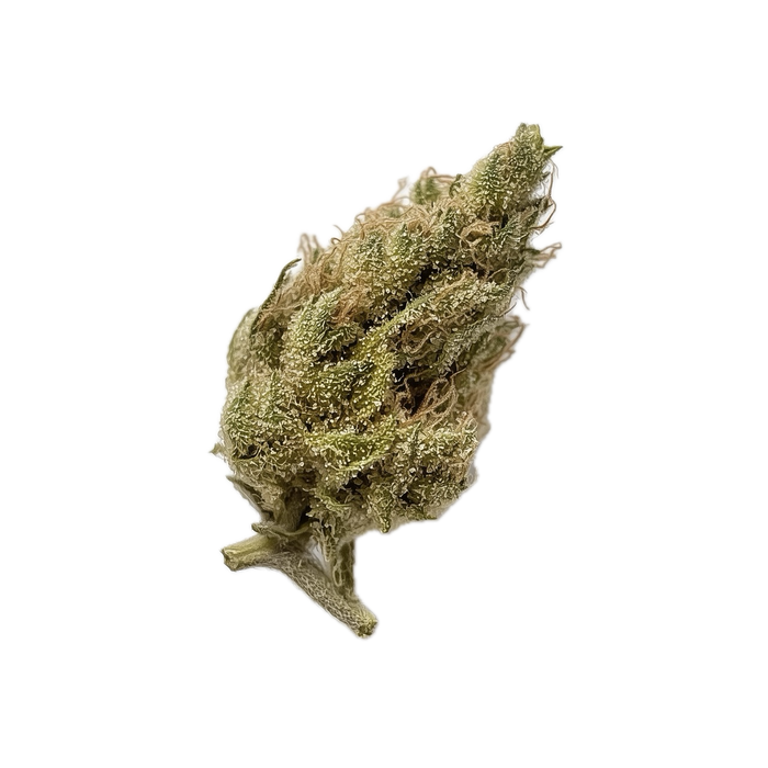 HiDealz 24/1 MS HWH "Honeydew Haze"