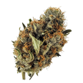 Huala 22/1 GRF "Grape Face"