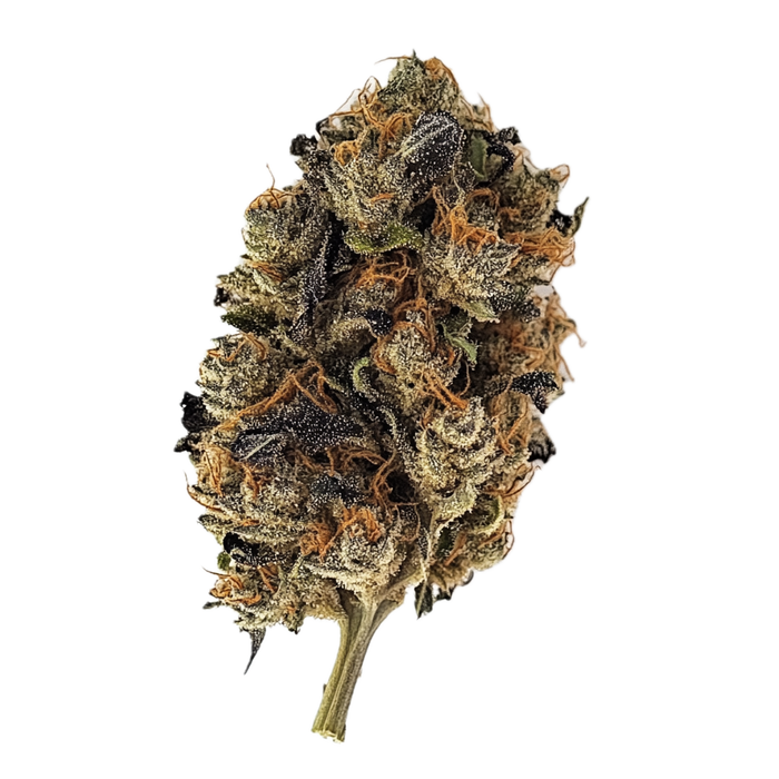Huala 25/1 CIN "Cinderella Kush"