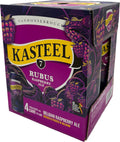 Kasteel Rubus Raspberry Ale 4pk Cans