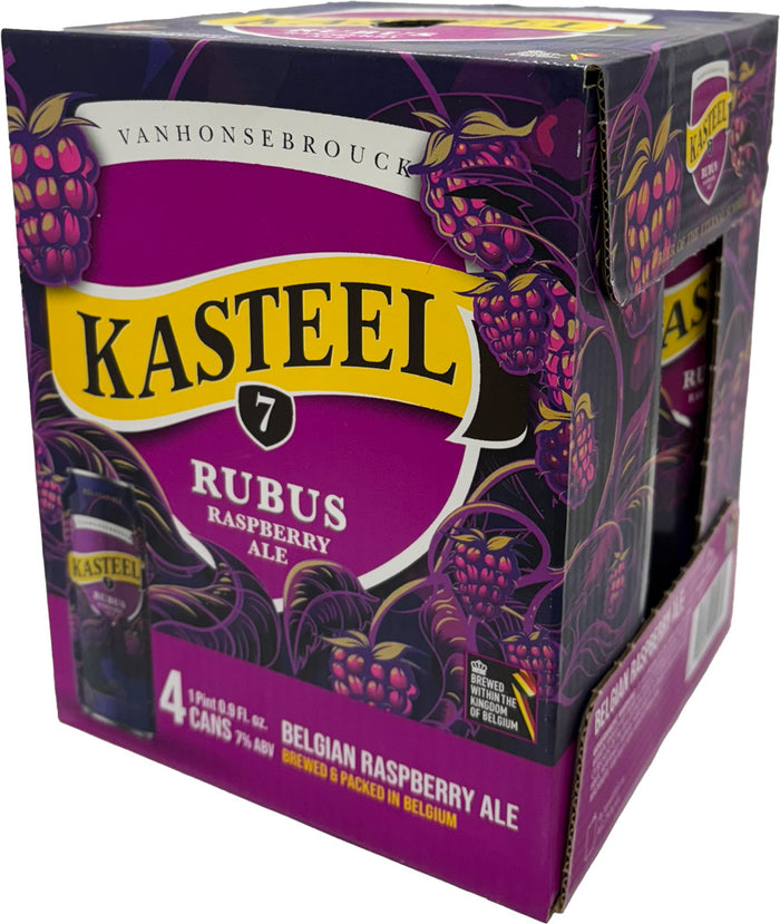 Kasteel Rubus Raspberry Ale 4pk Cans