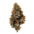 Legend's RP 34/1 "Rainbow Pavé"