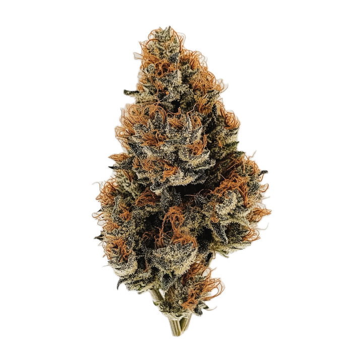 Legend's RP 34/1 "Rainbow Pavé"