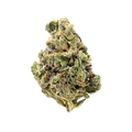 Luana 20/1 GSC "Girl Scout Cookies"