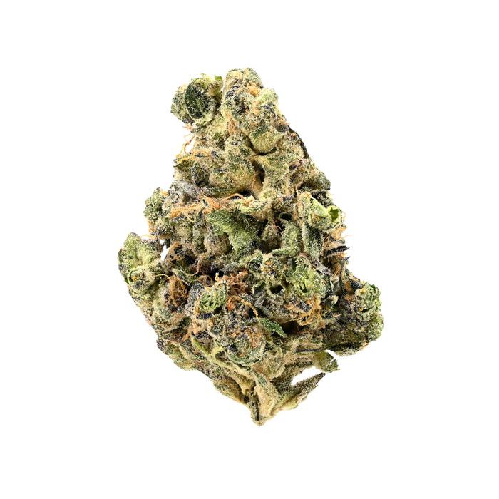Luana 20/1 GSC "Girl Scout Cookies"