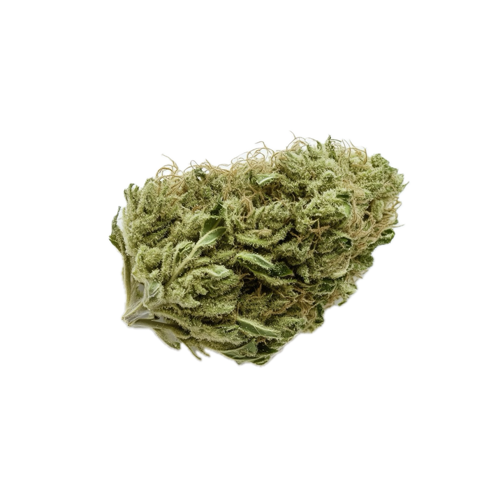 Nice 27/1 "Cocoa Bomba"