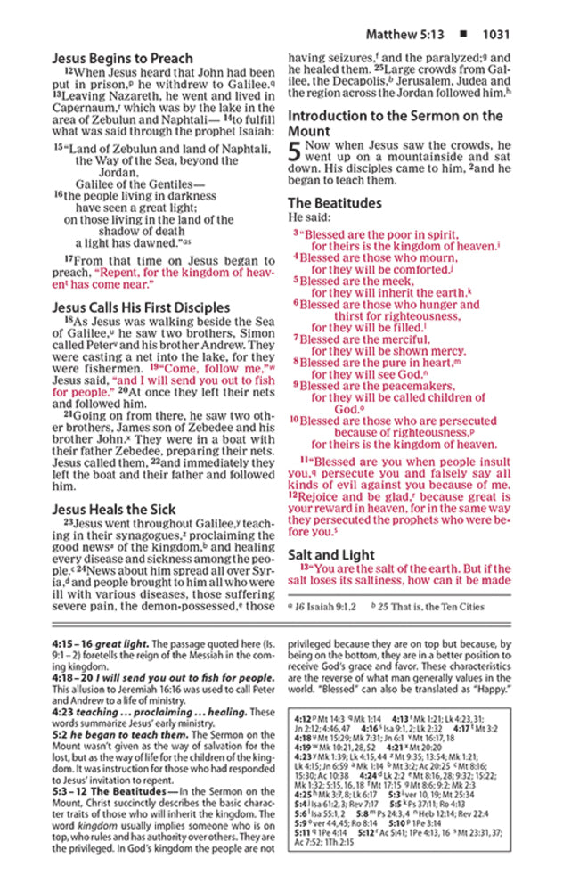 NIV, Basic Study Bible, Economy Edition, Paperback, Blue, Red Letter