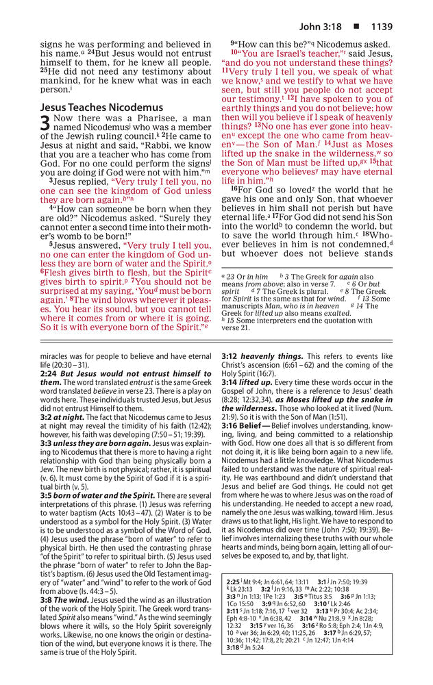 NIV, Basic Study Bible, Economy Edition, Paperback, Blue, Red Letter