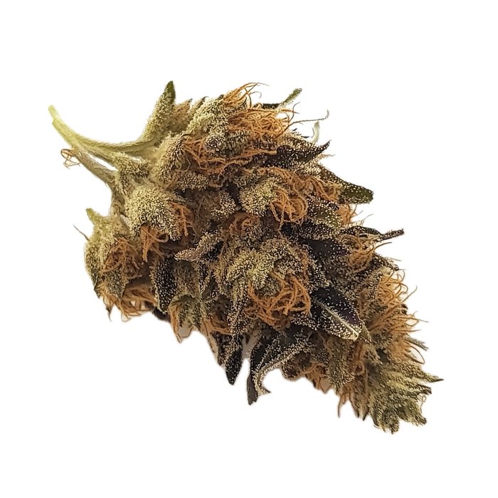 Pedanios 22/1 "Ghost Train Haze"