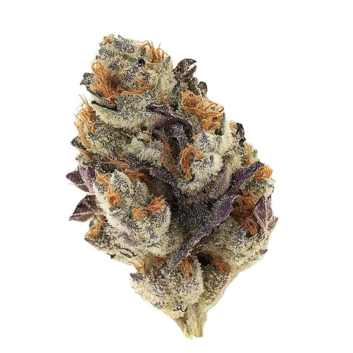 Pedanios 31/1 CMK-CA "Chemango Kush"