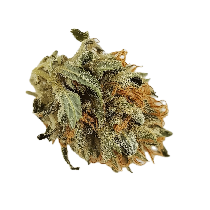Remexian 30/1 CGA "Creamy Gas"