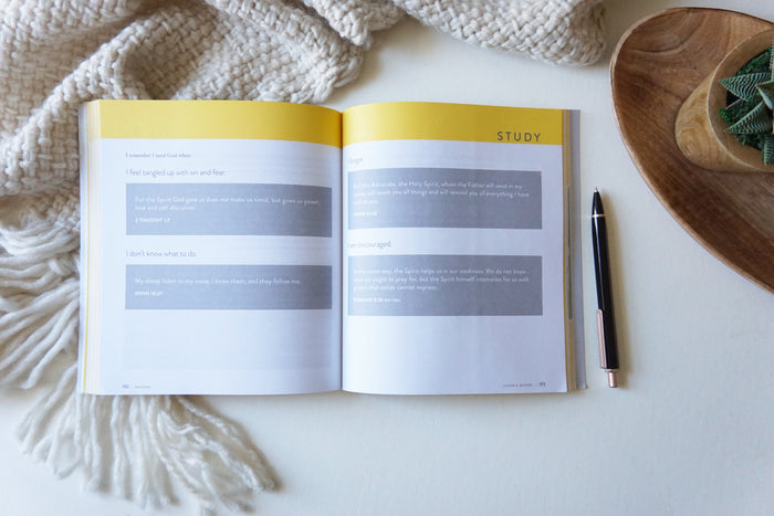 Restless Bible Study Guide plus Streaming Video, Updated Edition: Because You Were Made for More