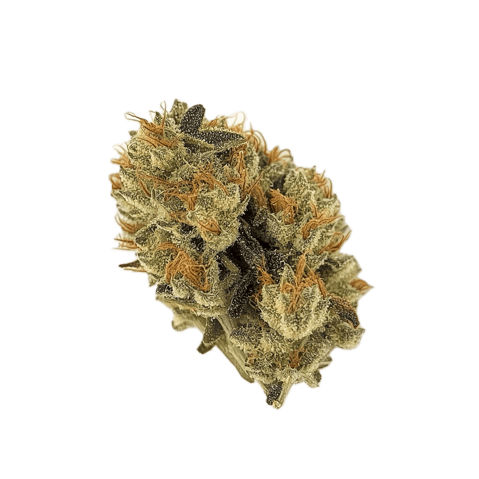 San Raf 27/1 PNK "Pink OG Kush"