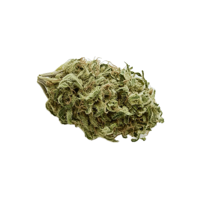 Siggis WBLT 22/1 "Waldbeerblüte"