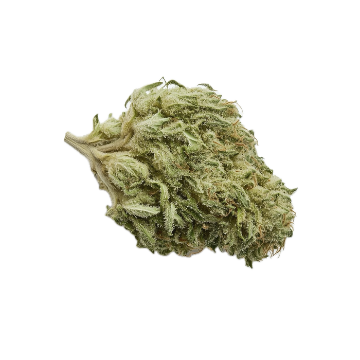 slouu 22/1 PS3 OGK "OG Kush"