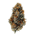Social Choice 24/1 SEN GTH "Ghost Train Haze"