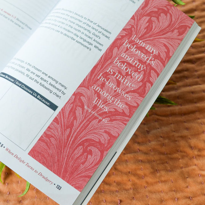 Song of Songs Bible Study Guide + Book + Bible Premium Bundle