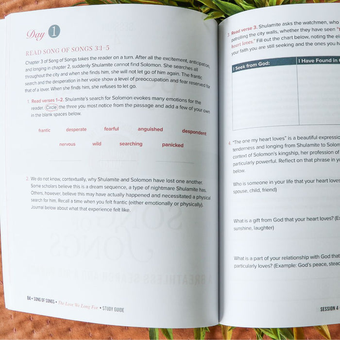 Song of Songs Bible Study Guide + Devotional Essentials Bundle