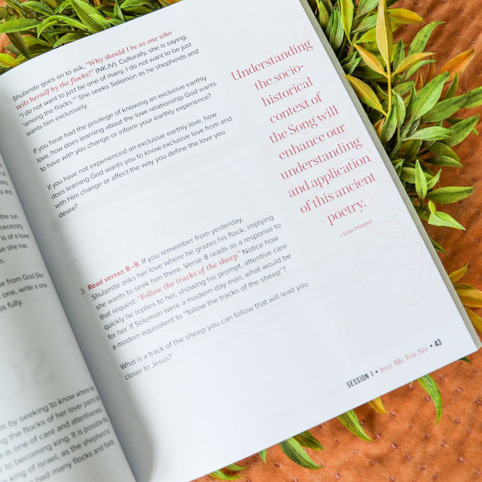 Song of Songs Bible Study Guide + Devotional Essentials Bundle