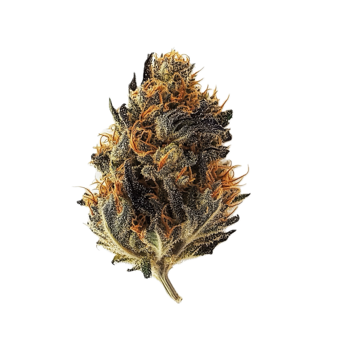 Top Shelf Medical 34/1 WCK "Wes‘ Coast Kush"