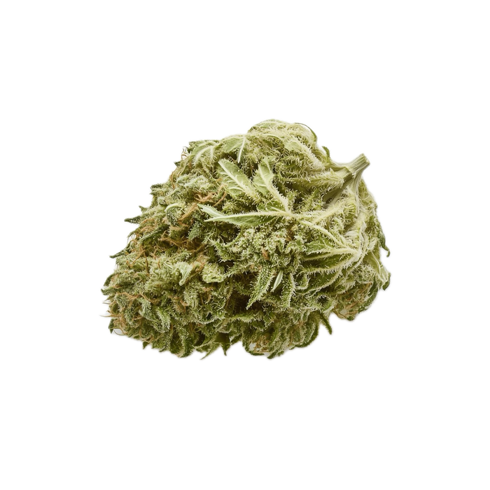 TRUU GT 28/1 "Cookies OG"