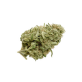 TRUU PS 24/1 "Critical 47"
