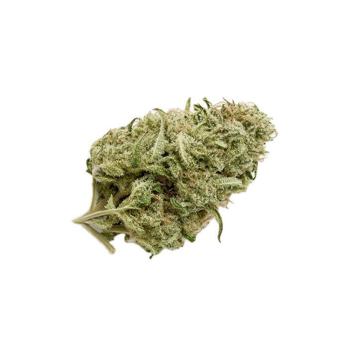 TRUU PS 24/1 "Critical 47"