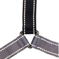 Toy | 13.5-18" Girth | 9-15 lbs  Approx.  | 5/8" Webbing / Black